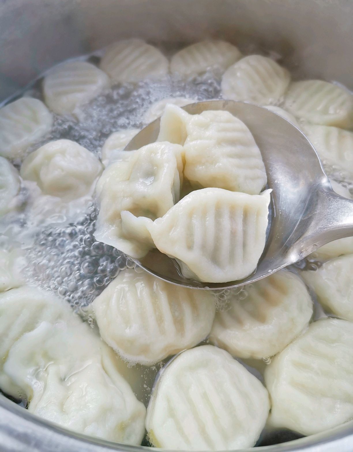 西瓜皮鸡蛋馅饺子