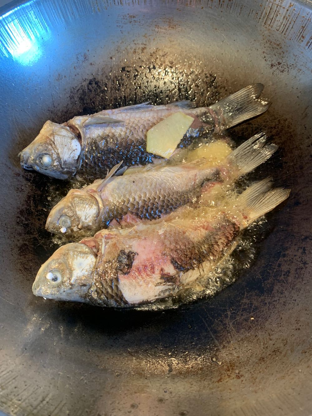 鲫鱼虫草花豆腐汤