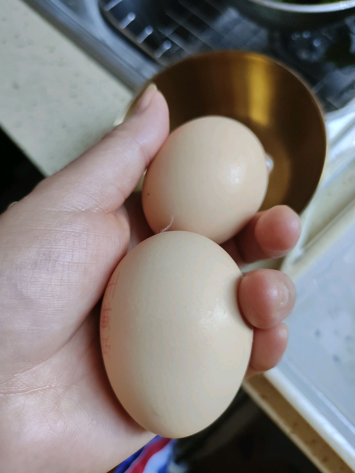 鸡蛋豆腐