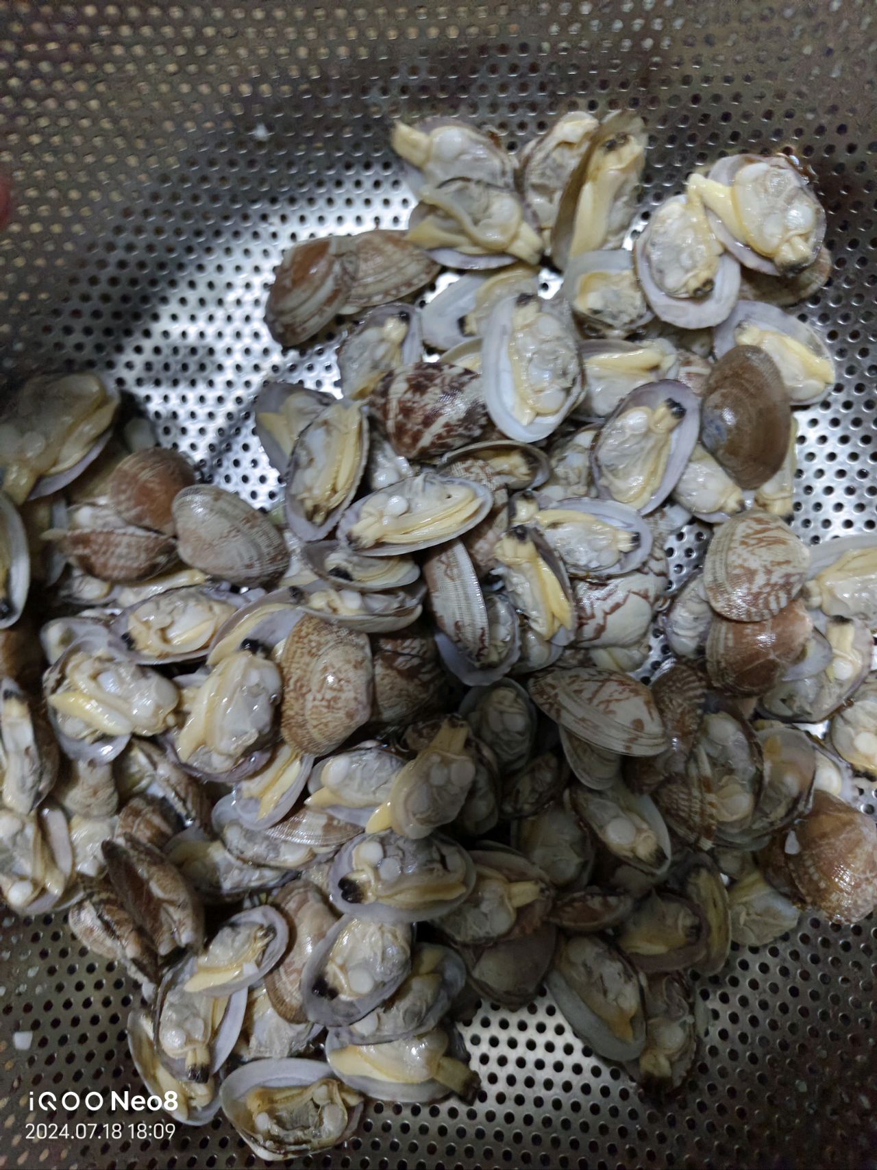 爆炒花甲