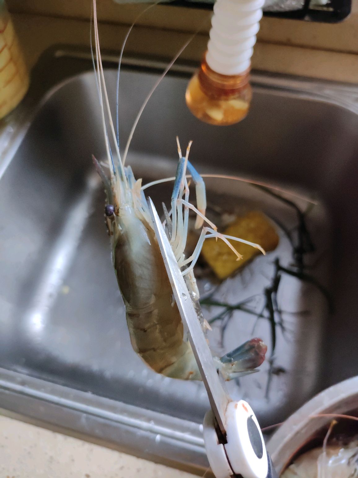 芥末罗氏虾