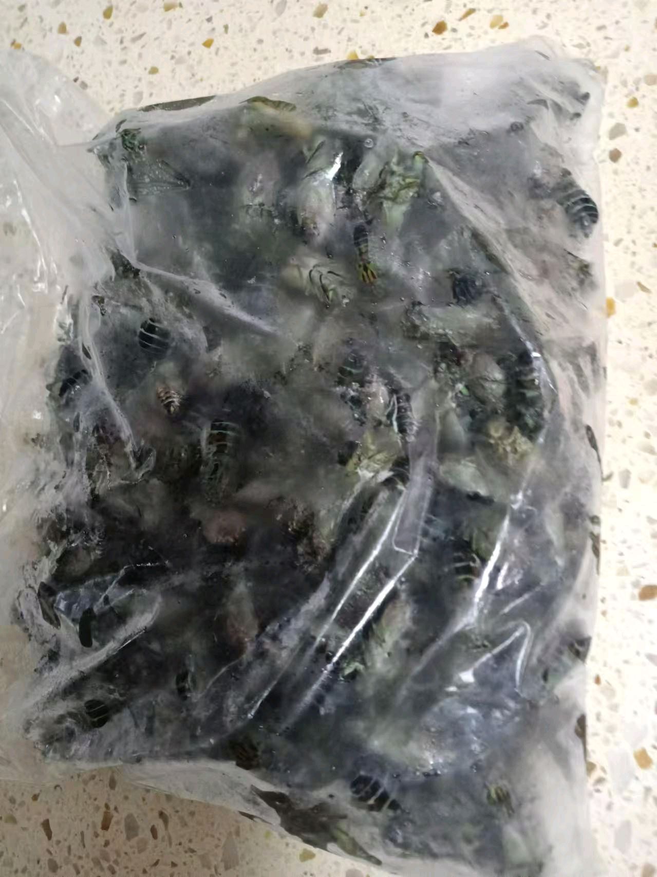 油炸知了猴