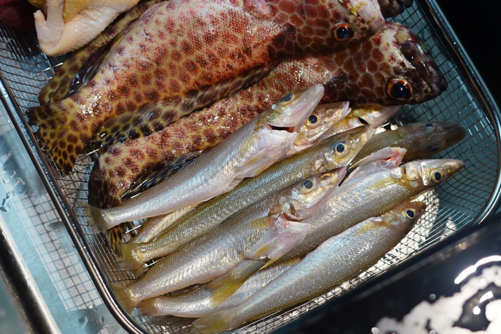 普宁豆酱蒸沙尖鱼