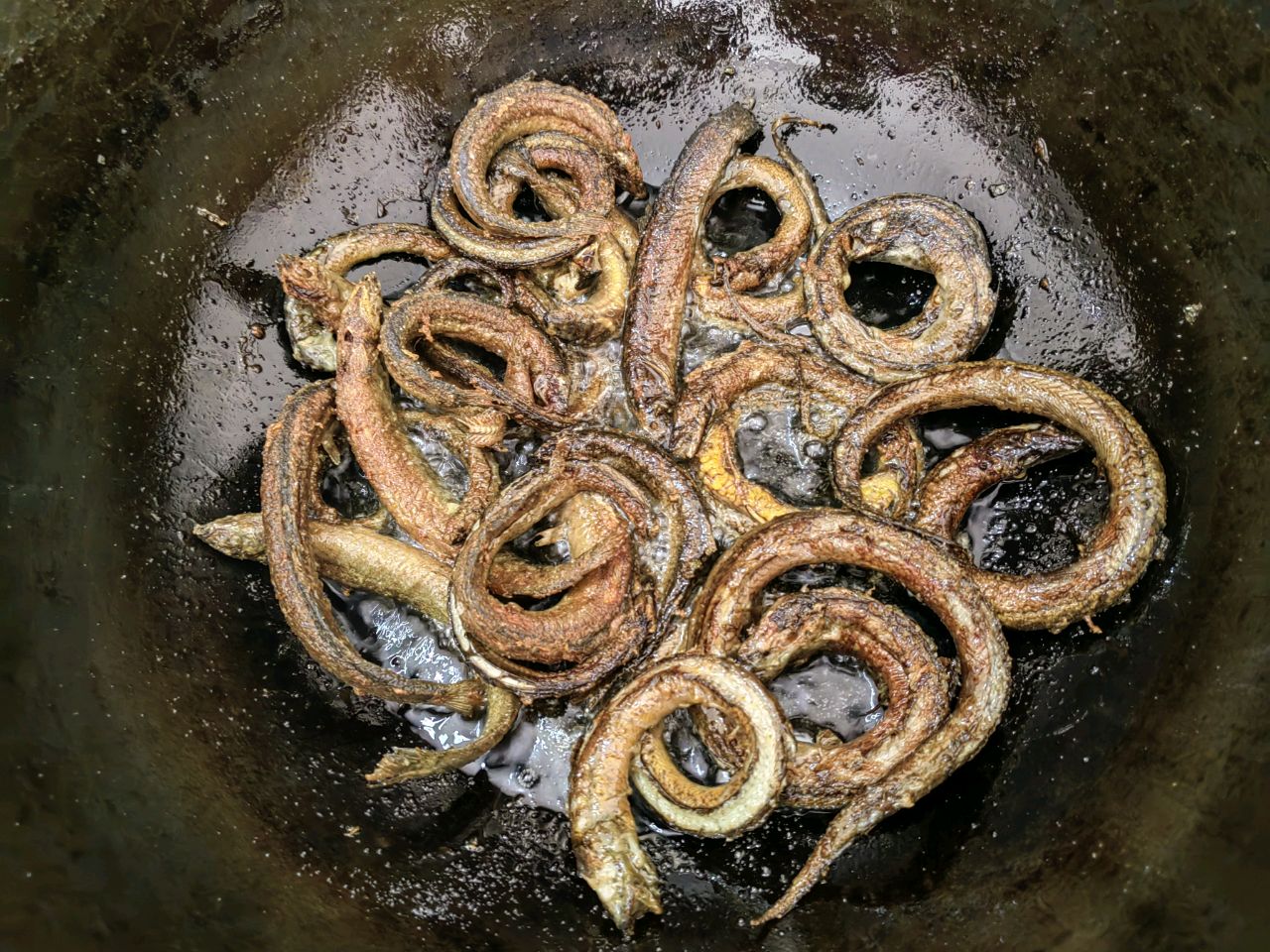 香煎野生鳝鱼