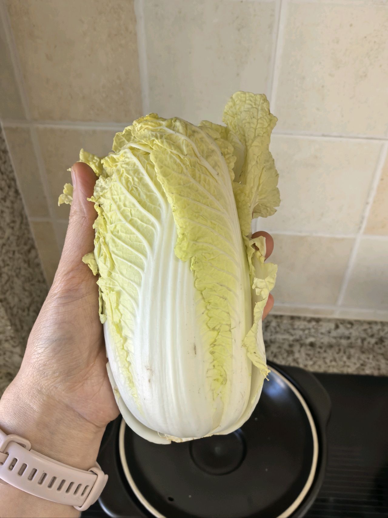 牛肉水煎包