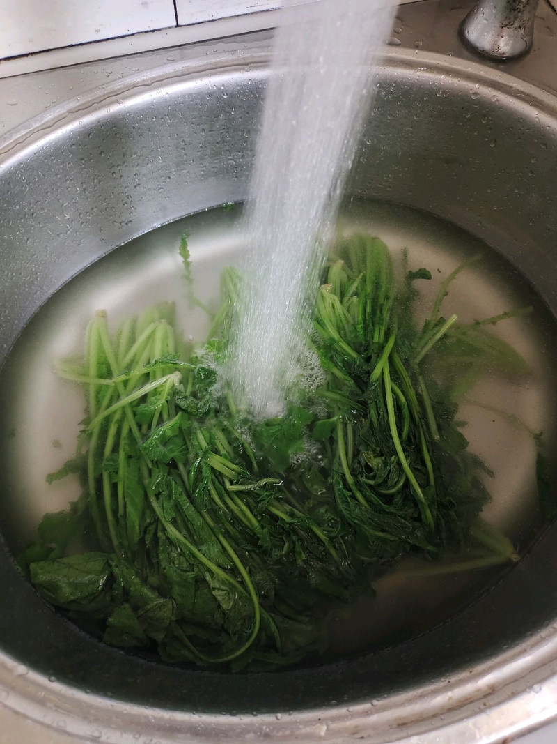 萝卜苗炒肉末