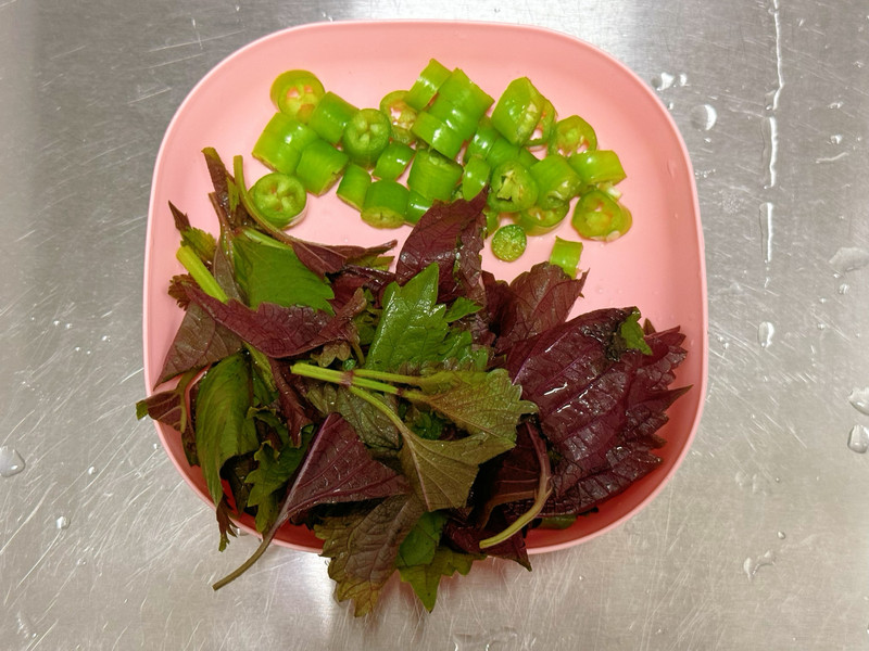 紫苏黄骨鱼