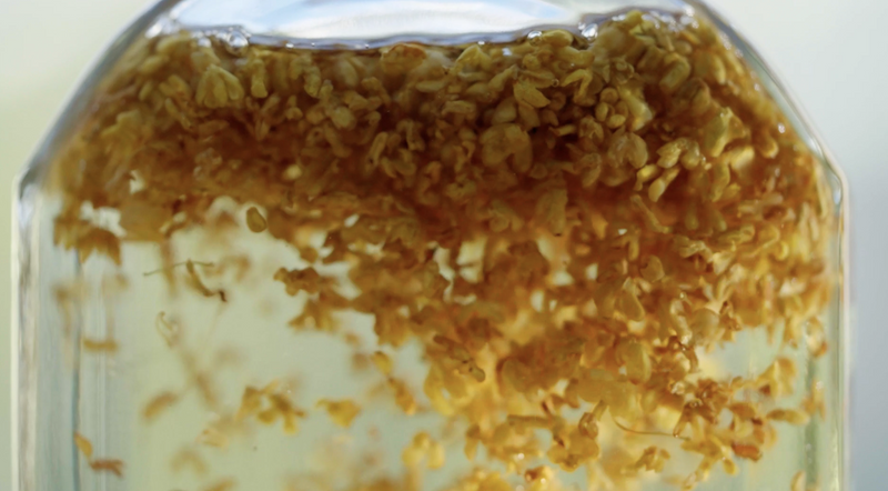 桂花泡酒｜封存这个秋天的美好风物！