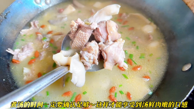 平菇番鸭汤