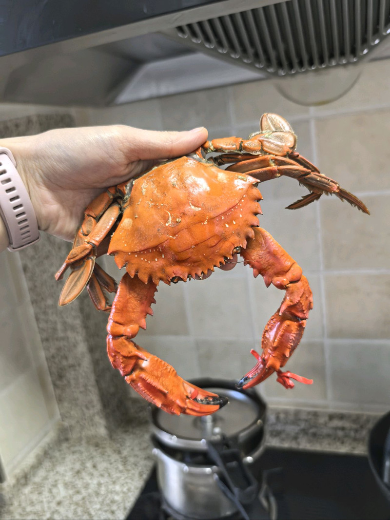 虾蟹砂锅粥