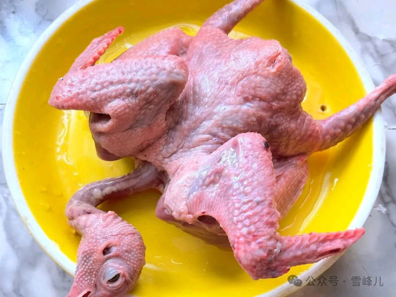 菌菇鸽子汤