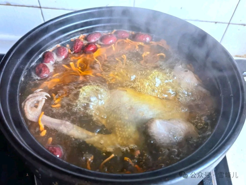 菌菇鸽子汤