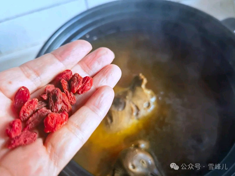 菌菇鸽子汤
