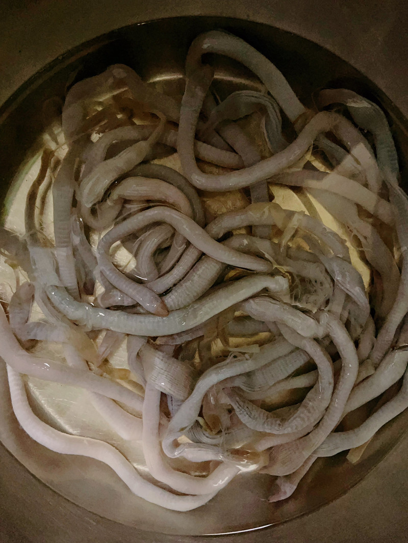 泥猛鱼蒸沙虫