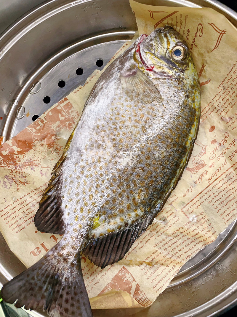 泥猛鱼蒸沙虫