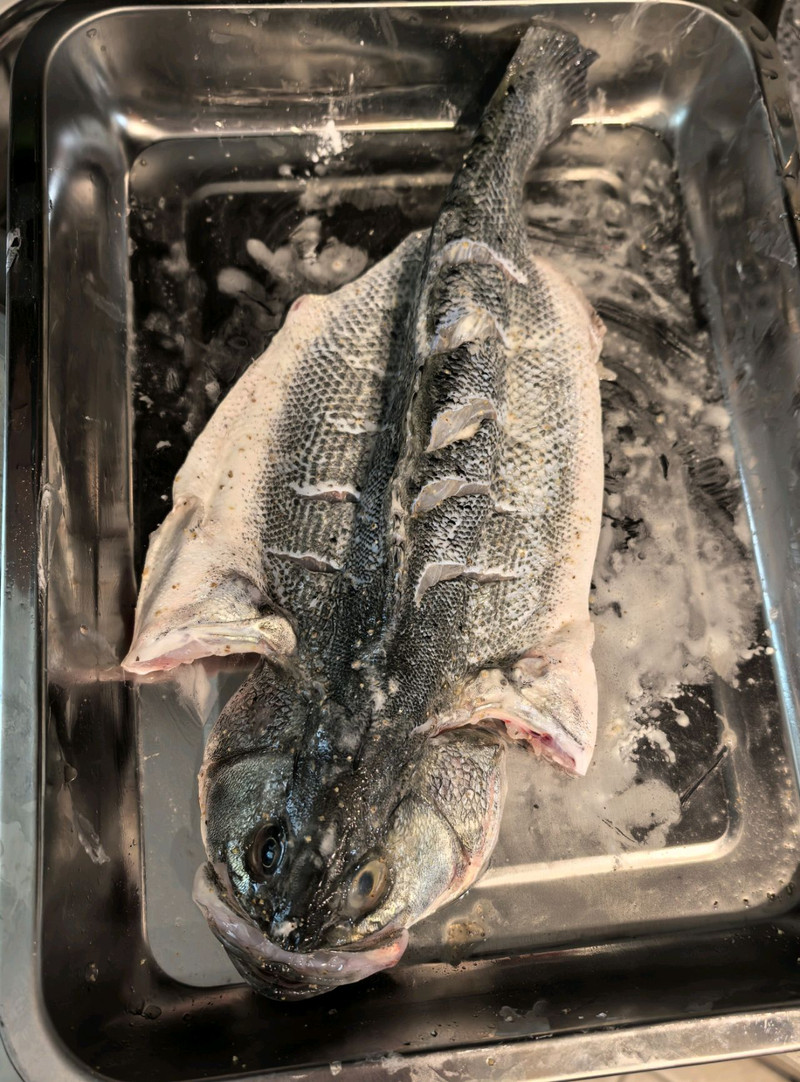 烤 鱼
