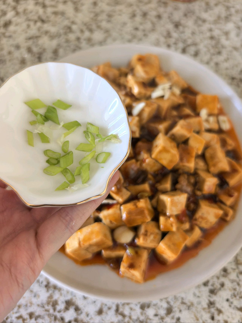 麻婆豆腐