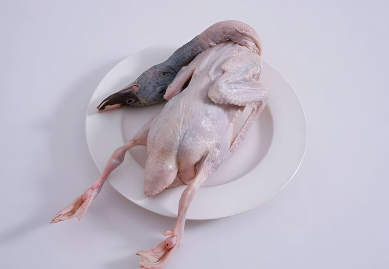 酱板鸭