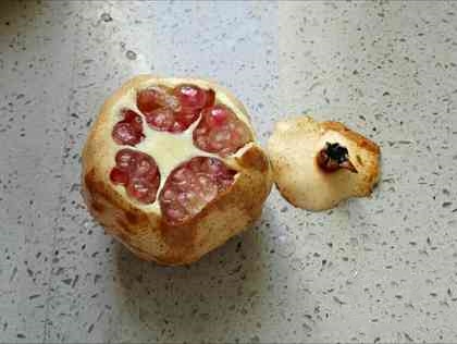 石榴汁