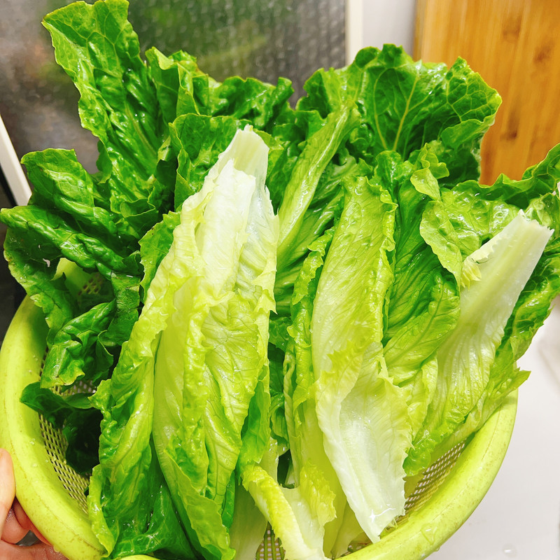 蚝油生菜