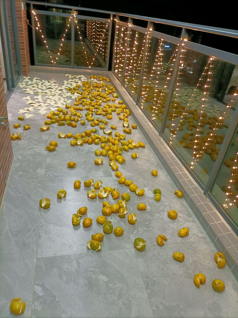 玫瑰花陈皮