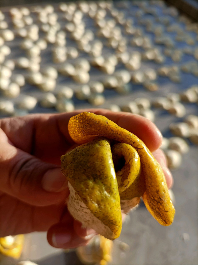 玫瑰花陈皮