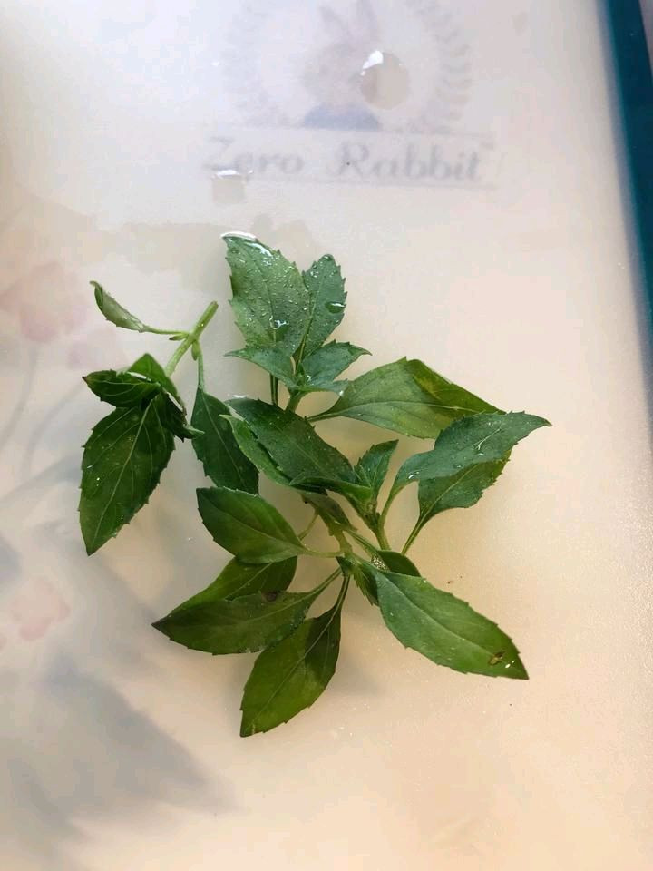 芥末虾球