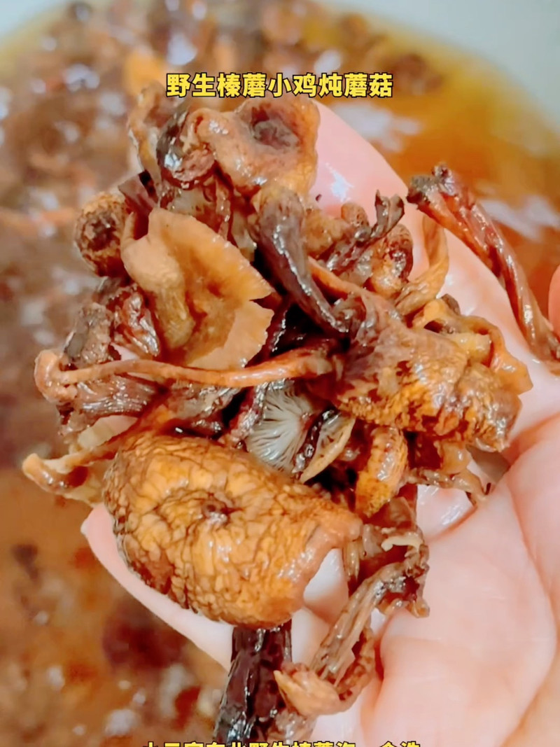 东北小鸡炖蘑菇