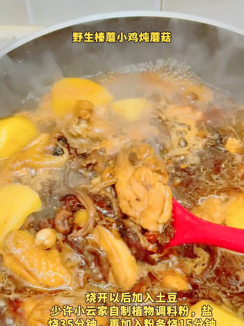东北小鸡炖蘑菇