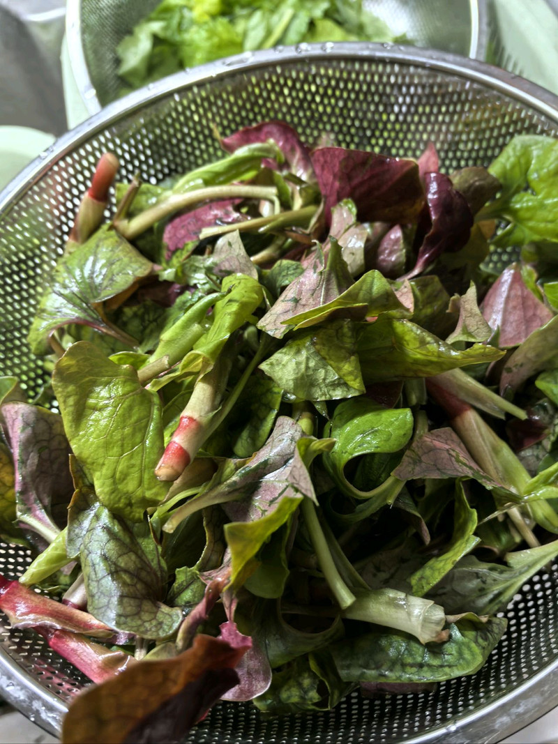 北方朋友眼中的黑暗料理-凉拌折耳根