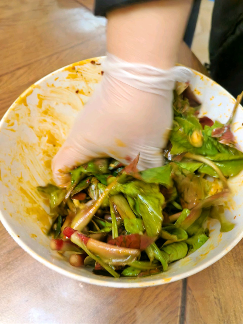 北方朋友眼中的黑暗料理-凉拌折耳根