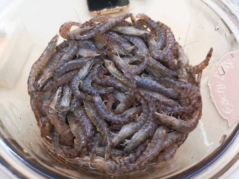 生腌虾