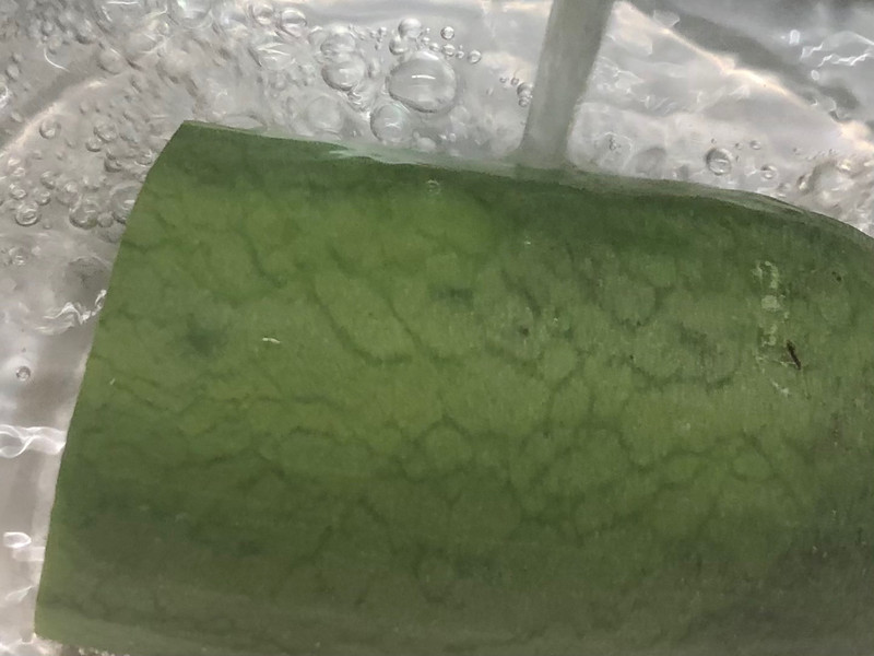 萝卜炖羊肉丸和羊肉卷