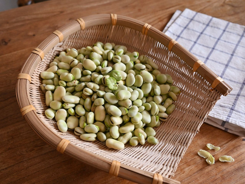 牛肝菌烧蚕豆