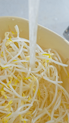 【宝宝辅食】番茄豆芽牛肉汤