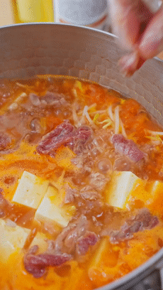【宝宝辅食】番茄豆芽牛肉汤