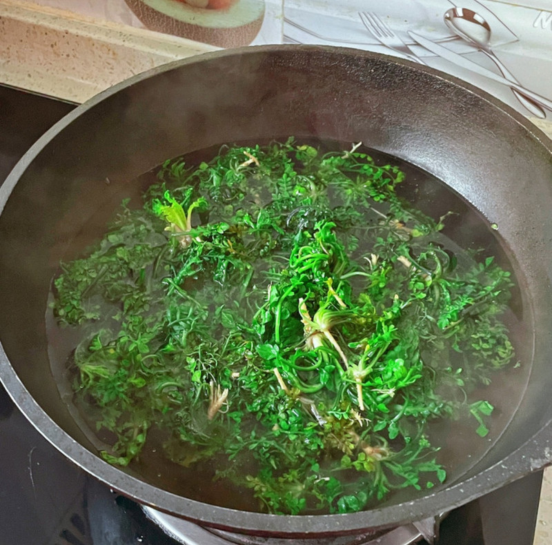 大自然的味道/荠菜炒米饭