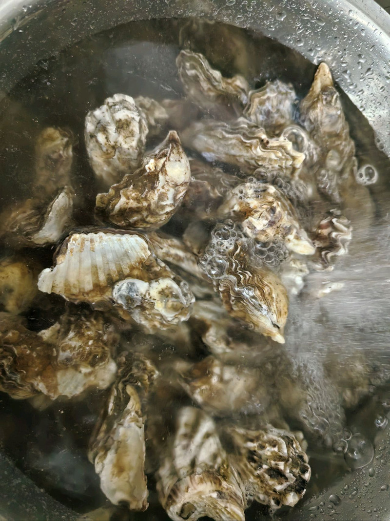 捞汁生蚝
