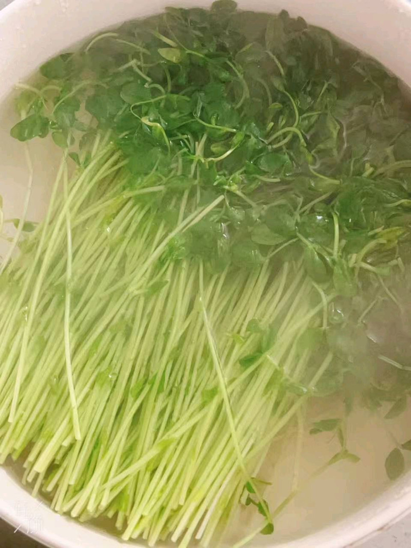 凉拌豌豆苗