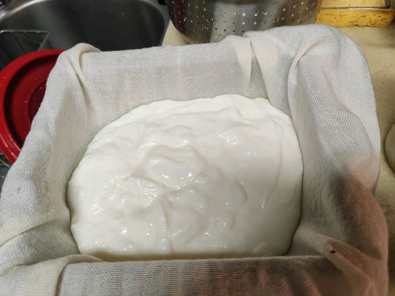 酸奶豆腐