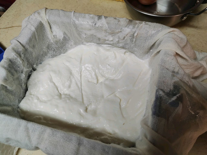 酸奶豆腐