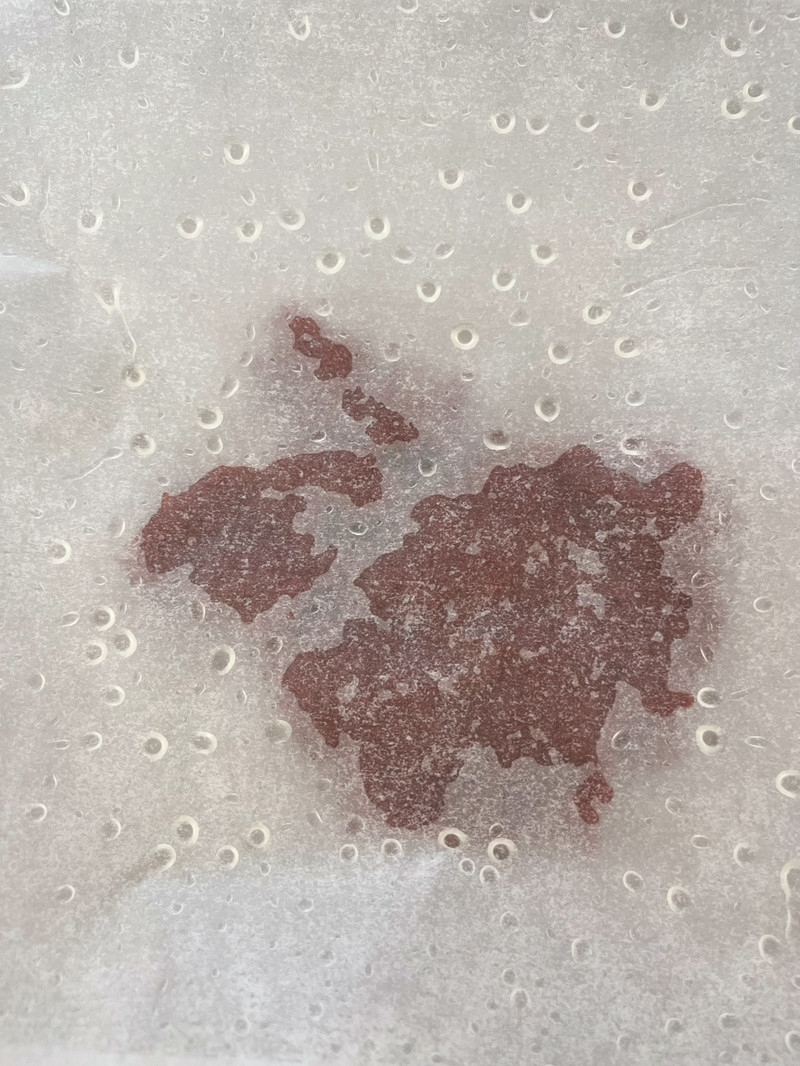 蜜汁猪肉脯