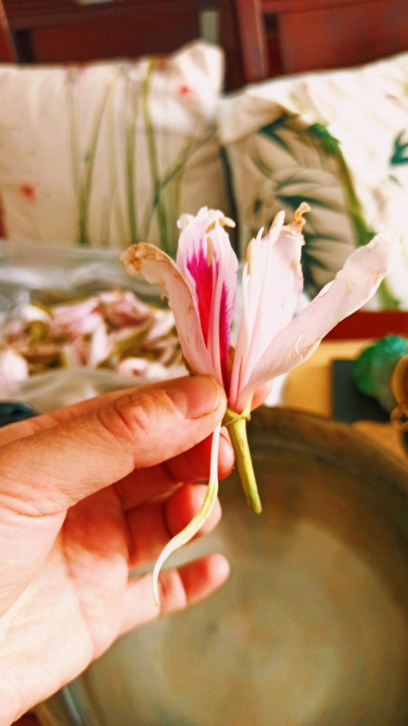 云南百花宴～白花煮鸡（玉荷花）