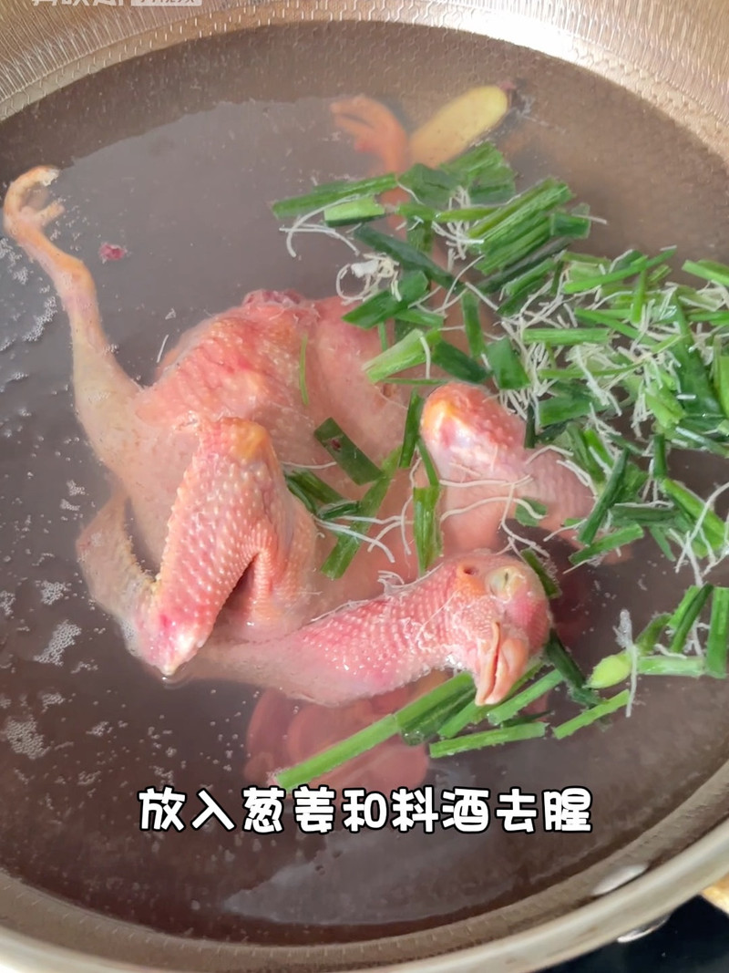 鸽子汤 鸽子汤