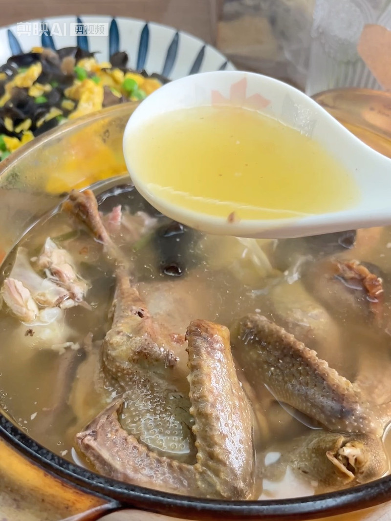 鸽子汤 鸽子汤