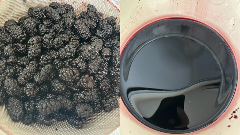 桑葚核桃乳酪欧包