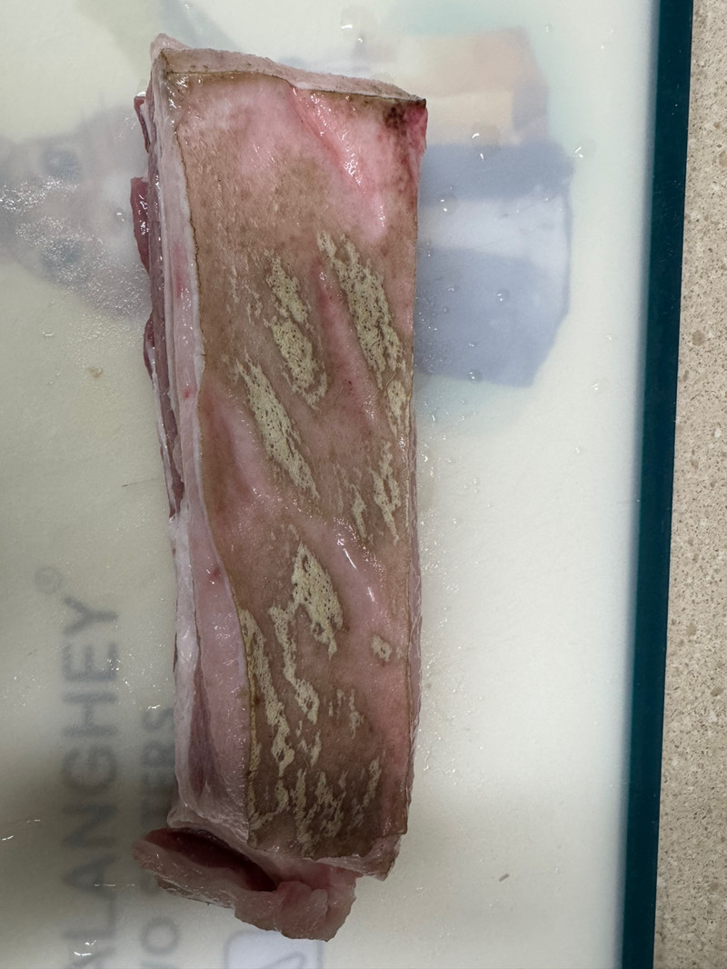 把子肉