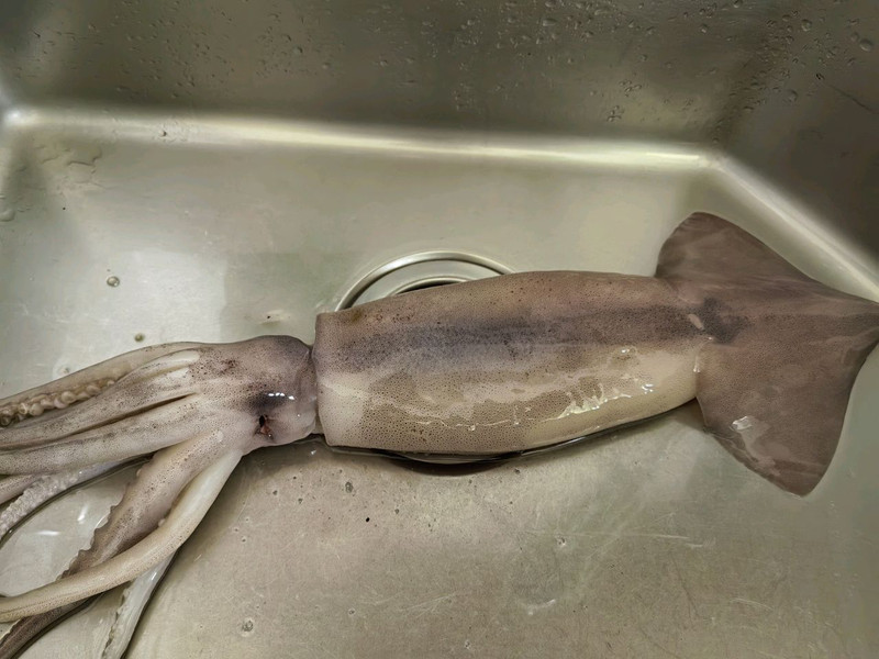 烤箱版烤鱿鱼