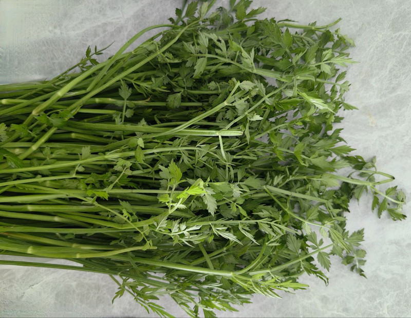 野芹菜炒野生鳝鱼片
