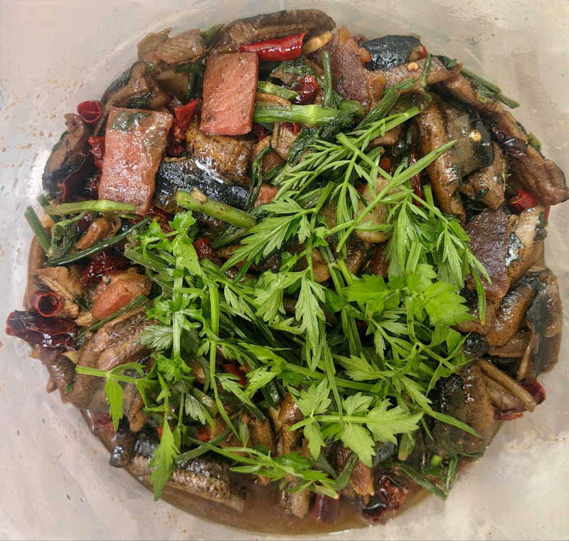 野芹菜炒野生鳝鱼片